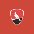 York College Cardinal, CUNY