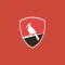 York College Cardinal, CUNY