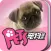 PETS ( 宠物 )