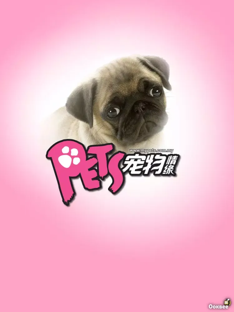 PETS ( 宠物 ) iPad  স্ক্রিনশট