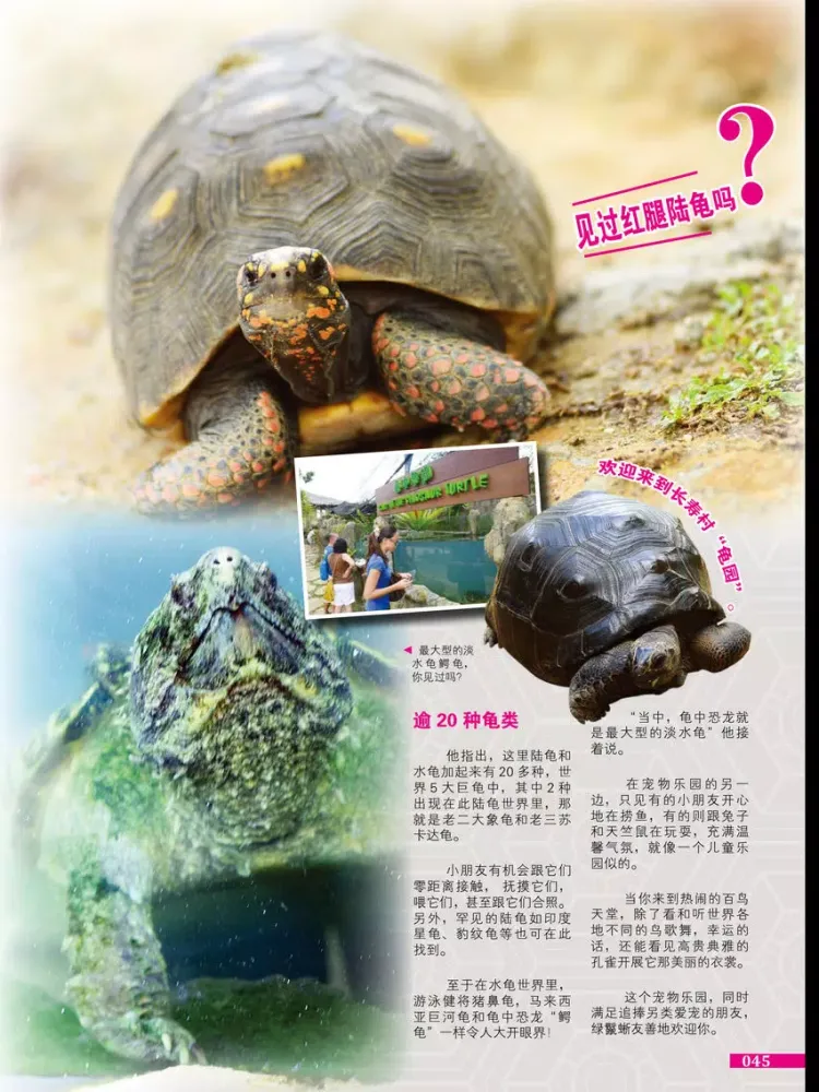 PETS ( 宠物 ) iPad  স্ক্রিনশট
