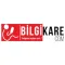 Bilgikare B2B