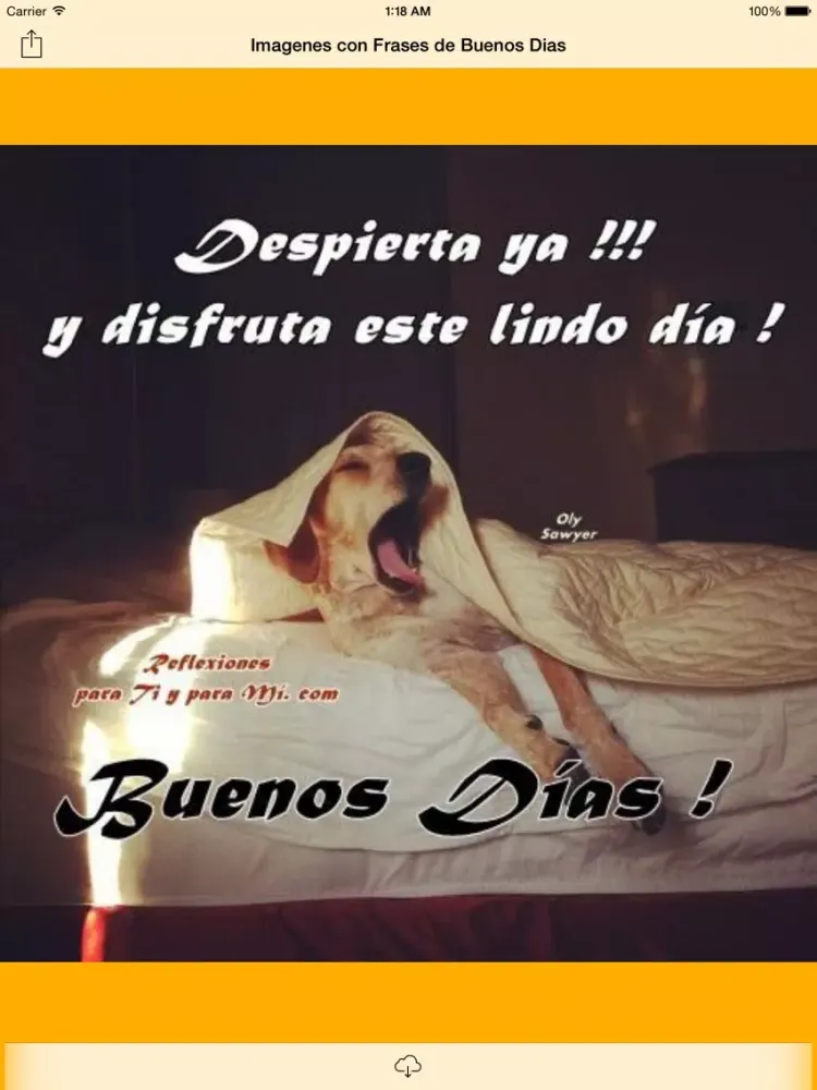 Capturas de tela do Imagenes con Frases de Buenos Dias iPad 