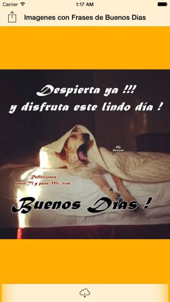 Capturas de tela do Imagenes con Frases de Buenos Dias