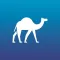 Perl