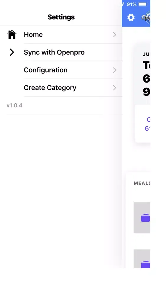 Expense OpenPro ERP Payables Screenshots