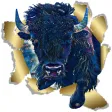 Animal Insight Oracle Cards
