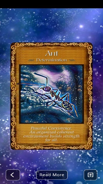 Animal Insight Oracle Cards應用截圖