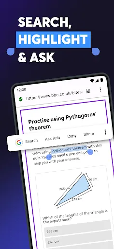 Tangkapan layar Opera browser with AI