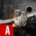 F16 Naval Jet Air Strike : Warfare Combat 3D