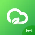 OYe Cloud Intl.
