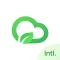 Omall Intl.