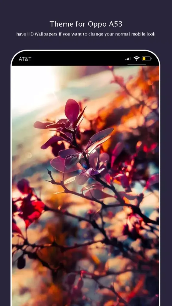 Themes for Oppo A53: Oppo A53 Screenshots
