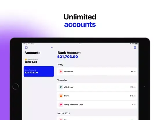 Captures d'écran de Expenses & Budgeting: Subtotal iPad 