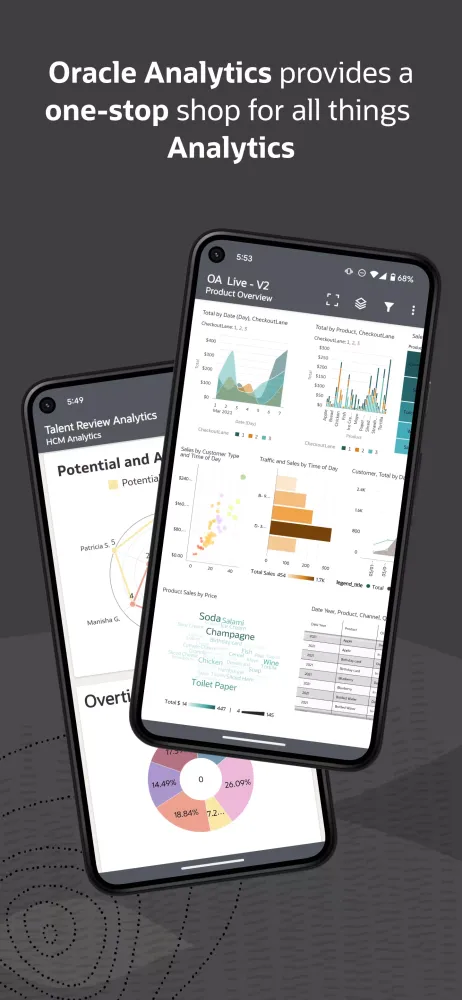 Oracle Analytics应用截图