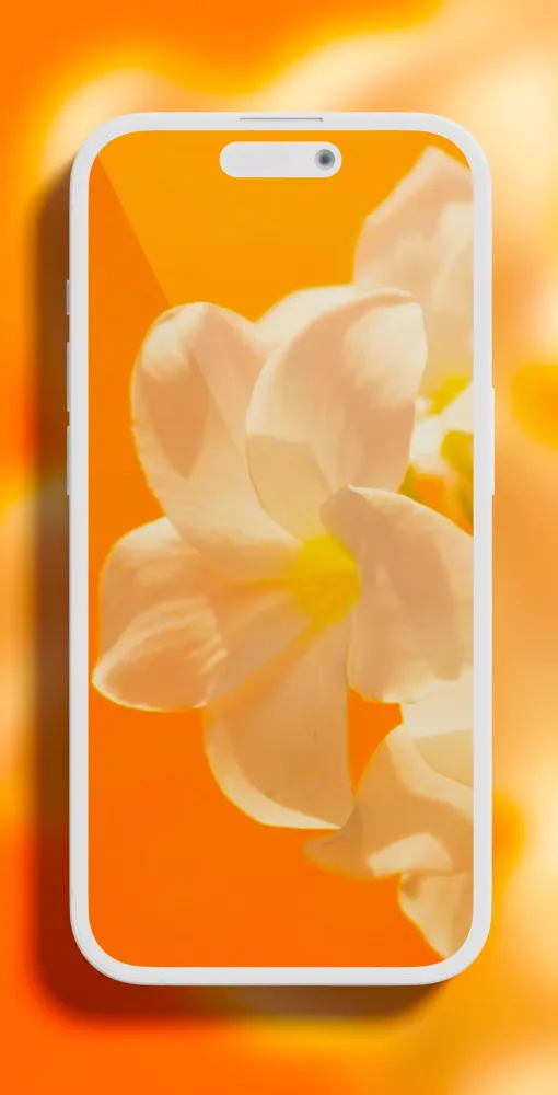 Aesthetic Orange Wallpaper应用截图