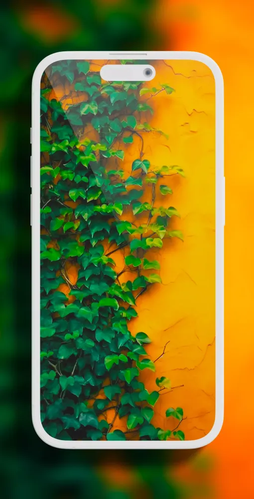 Aesthetic Orange Wallpaper应用截图