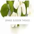Orange Blossom Threads Orange Blossom Threads