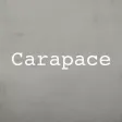 CARAPACE : Wholesale Clothing