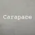 CARAPACE : Wholesale Clothing