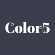 COLOR 5 - Wholesale Clothing