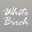 White Birch - Wholesale