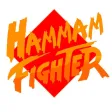 Hammam Fighter Hammam Fighter