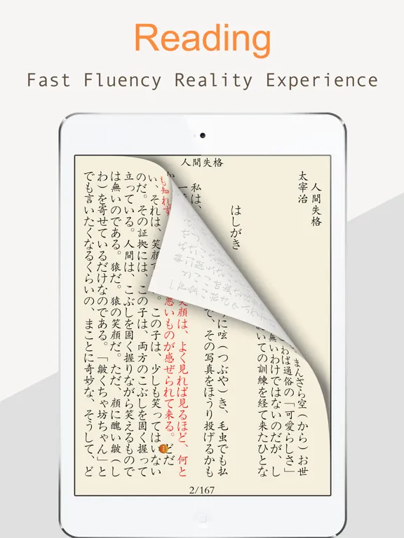 تصاویر TxtReader Pro iPad 