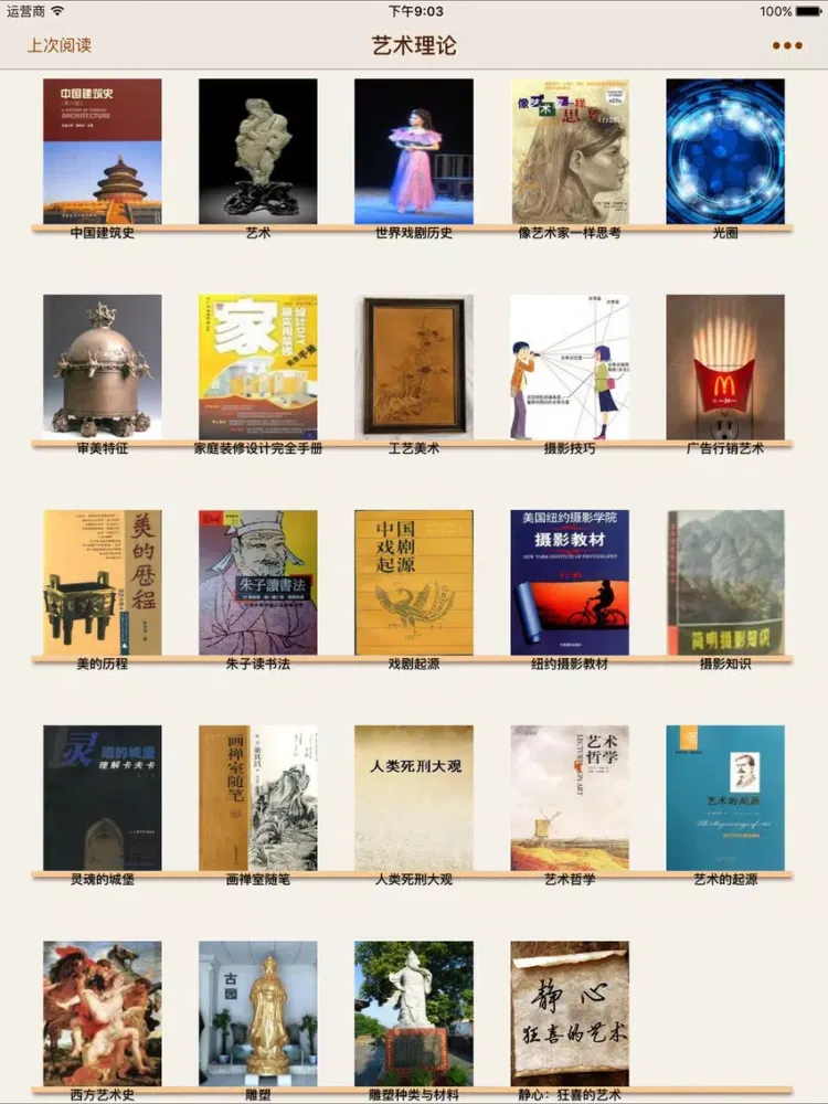 Tangkapan skrin 艺术理论 iPad 