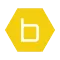 b-hyve Pro