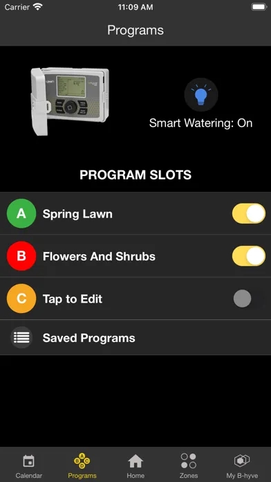 Screenshot di b-hyve pro