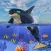 Orca Killer Whale Simulator