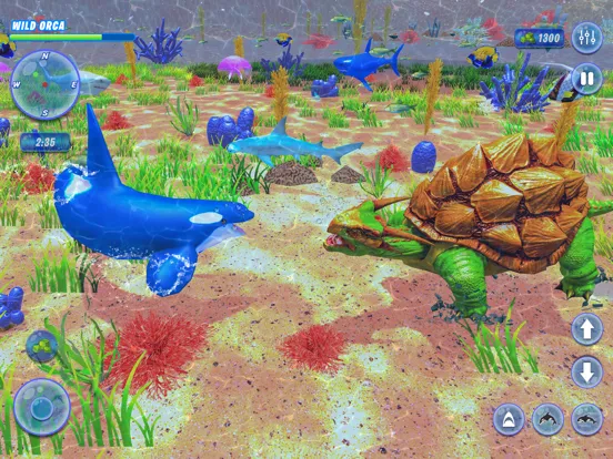 Orca Killer Whale Simulator iPad  Ekran Görüntüleri