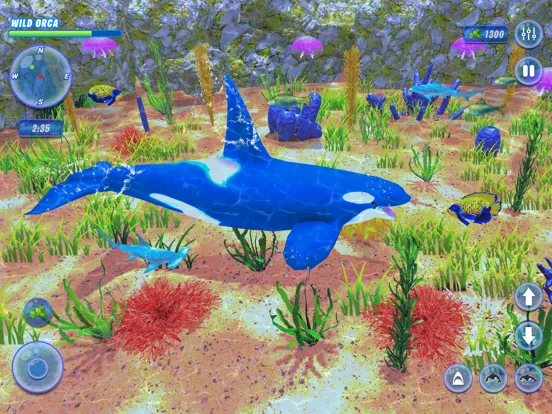 Orca Killer Whale Simulator iPad  Ekran Görüntüleri