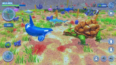Orca Killer Whale Simulator Ekran Görüntüleri
