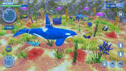 Orca Killer Whale Simulator Ekran Görüntüleri