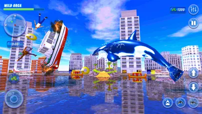 Orca Killer Whale Simulator Ekran Görüntüleri