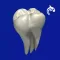 Dental Decide
