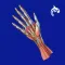 Hand Decide