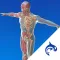 Orca Health