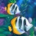 Fish Paradise - Aquarium Live