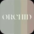Orchide
