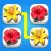 Blossom Connect