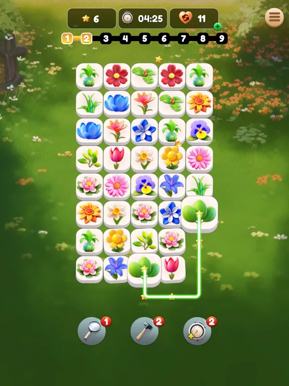 Blossom Connect iPad 应用截图