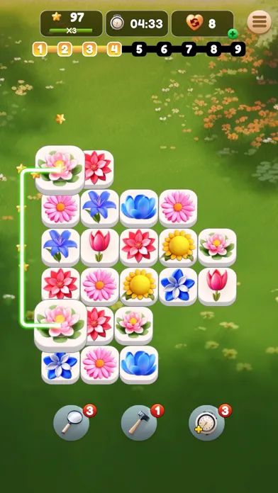 Blossom Connect应用截图
