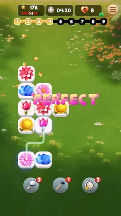 Blossom Connect应用截图