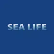 Sea Life, Kent