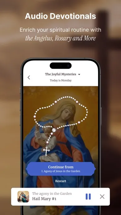 Capturas de tela do Oremus - Catholic Bible&Prayer