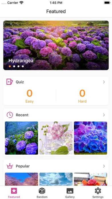 Capturas de pantalla de Flower Gallery