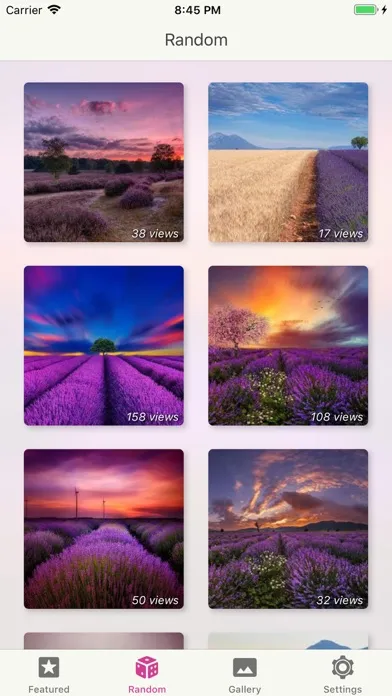 Capturas de pantalla de Flower Gallery